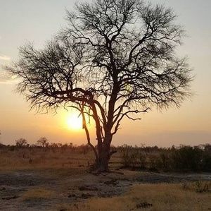 Meet your Posher, Nadia